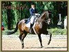 dressage horse Sotheby's 2 (Trakehner, 1995, from Tuareg)