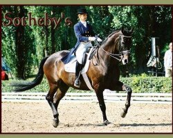 dressage horse Sotheby's 2 (Trakehner, 1995, from Tuareg)