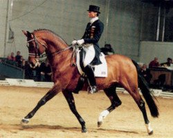 Deckhengst Perechlest (Russisch Trakehner, 1989, von Hockey 41)