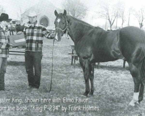 Deckhengst Easter King (Quarter Horse, 1951, von King)