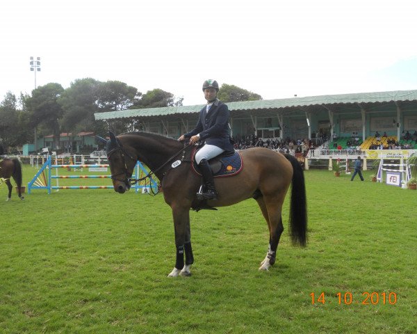 Pferd Lancelot (Rheinländer, 1995, von Lancer II)