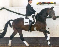 Pferd United Kingdom (Trakehner, 2002, von Gipsy King)