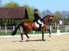 dressage horse Royal Flash 87 (Westphalian, 2003, from Bmc Roman Nature)