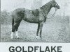 Zuchtstute Bwlch Goldflake (British Riding Pony, 1927, von Meteoric xx)