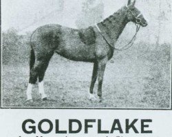 broodmare Bwlch Goldflake (British Riding Pony, 1927, from Meteoric xx)