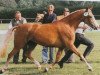 broodmare Desiree (German Riding Pony, 1993, from Domingo)