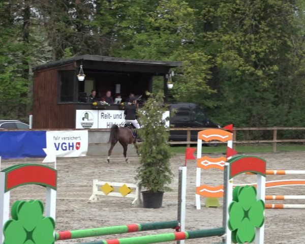 Reitturnier Hildesheim-Steuerwald 2022