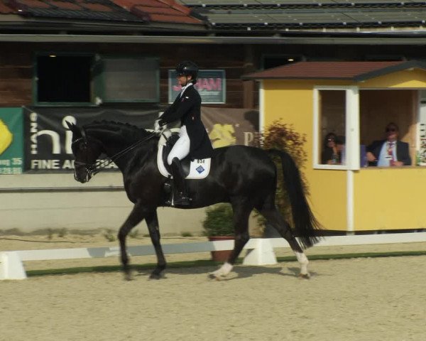 FEI Reitturnier St. Margarethen (AUT) 2022