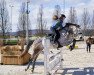 jumper Castello 254 (Hanoverian, 2014, from Castellano)