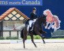 dressage horse Late Twenty Eight (Hanoverian, 2013, from Lemony's Nicket)