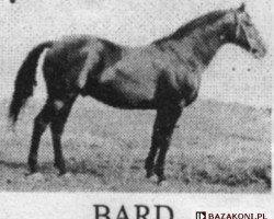 Deckhengst Bard 1933 (Trakehner, 1967, von Haakon 1532)