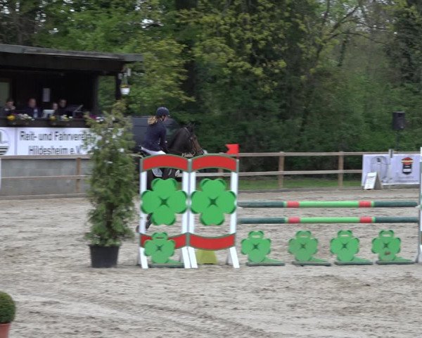 Reitturnier Hildesheim-Steuerwald 2022