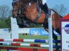 jumper Ludo 29 (Hanoverian, 2008, from Lafontaine)