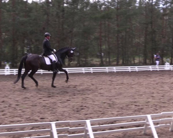 Reitturnier Altbarnim 2022