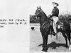 stallion Farana 1929 EAO (Arabian thoroughbred, 1929, from Nasik 1908 ox)