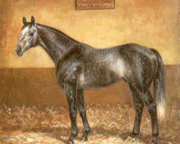 stallion Carwhite xx (Thoroughbred, 1974, from Caro xx)