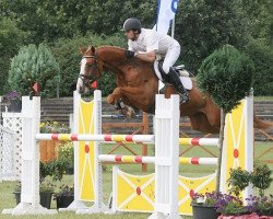 Springpferd First Flight (Trakehner, 2000, von Friedensfürst)