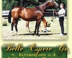 Zuchtstute Belle Espere (Trakehner, 1986, von Rittersporn)