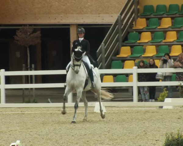 FEI Reitturnier St. Margarethen (AUT) 2022
