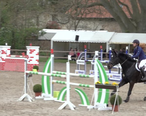 Reitturnier Hildesheim-Steuerwald 2022