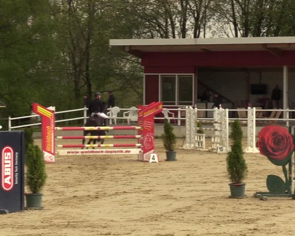 Reitturnier Spenge - Wallenbrück 2022