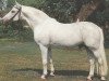 stallion Tassilo (Trakehner, 1958, from Lateran)