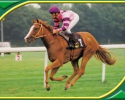 broodmare Aerleona xx (Thoroughbred, 1988, from Caerleon xx)