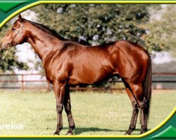 stallion Areion xx (Thoroughbred, 1995, from Big Shuffle xx)