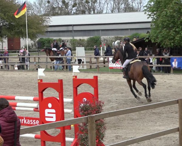Reitturnier Hildesheim-Steuerwald 2022