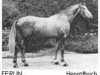 stallion Ferlin (Trakehner, 1966, from Maharadscha)