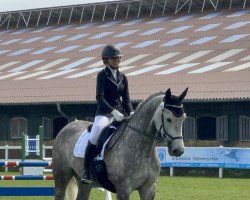 dressage horse Rosmana (Polish Warmblood, 2016, from Correro)