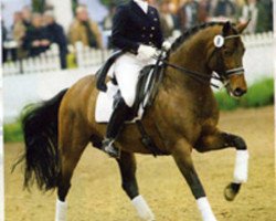 stallion Artistic-Rock (Trakehner, 1992, from Rockefeller)