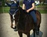 dressage horse Bazinga (German Riding Pony, 2010, from Batida de Coco)