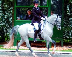 stallion Voltaire (German Riding Pony, 2004, from Viorello)