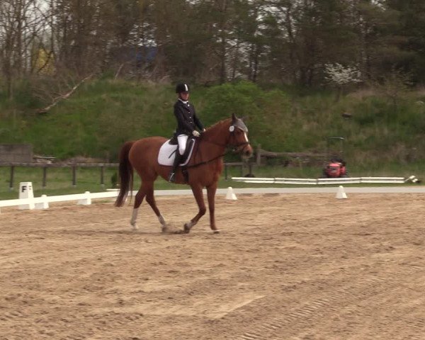 Reitturnier Colbitz 2022