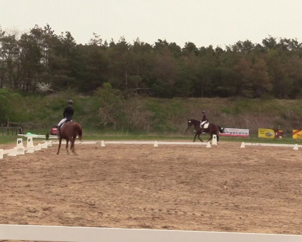 Reitturnier Colbitz 2022