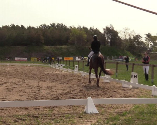 Reitturnier Colbitz 2022