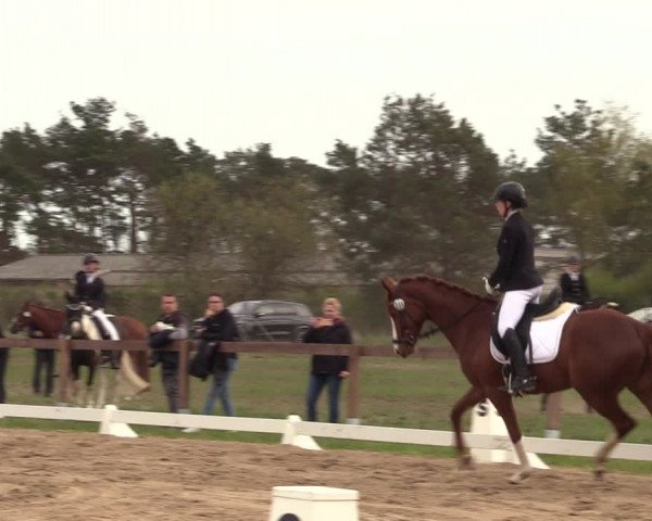 Reitturnier Colbitz 2022