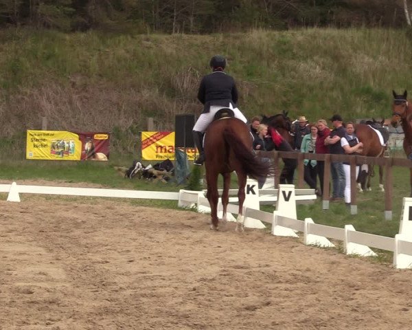 Reitturnier Colbitz 2022