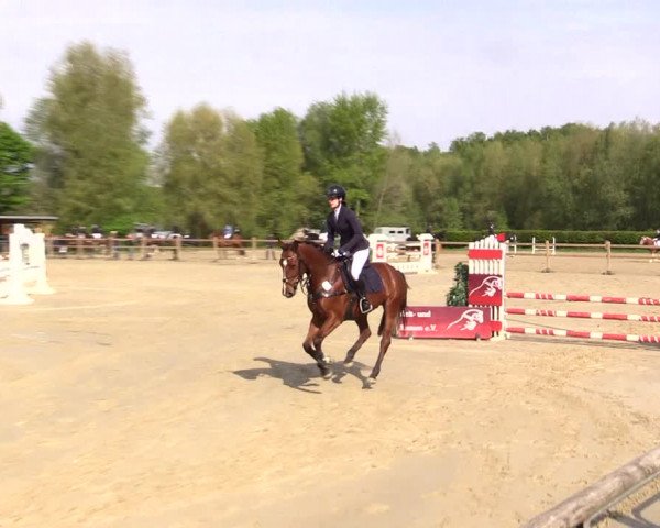Reitturnier Kamen 2022