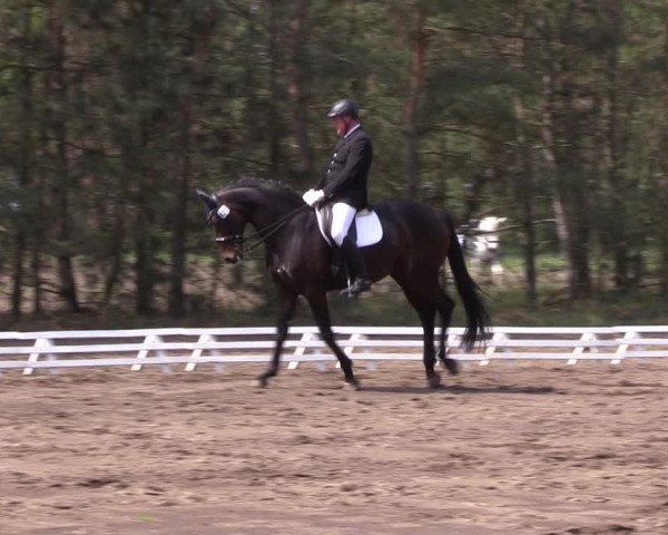 Reitturnier Altbarnim 2022