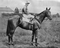 stallion Windsor Lad xx (Thoroughbred, 1931, from Blandford xx)