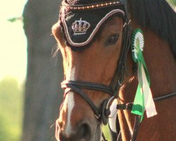 jumper Balou Belfegore (Oldenburg, 2004, from Balou du Rouet)