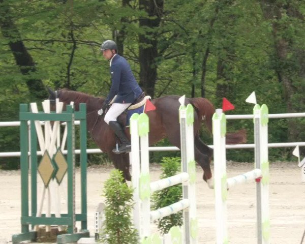 Reitturnier Losheim am See 2022
