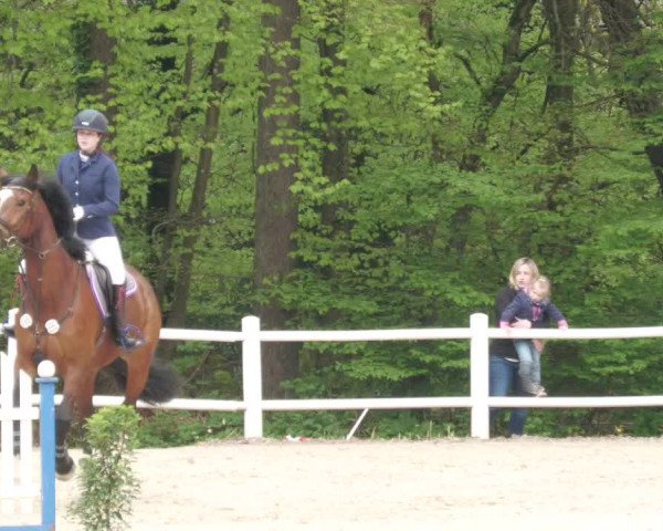 Reitturnier Losheim am See 2022
