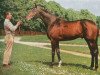 stallion Herbager xx (Thoroughbred, 1956, from Vandale xx)