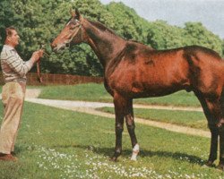 stallion Herbager xx (Thoroughbred, 1956, from Vandale xx)