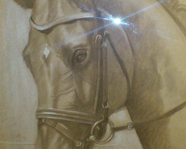 dressage horse Weltkrone 2 (Hanoverian, 2002, from Weltregent H)