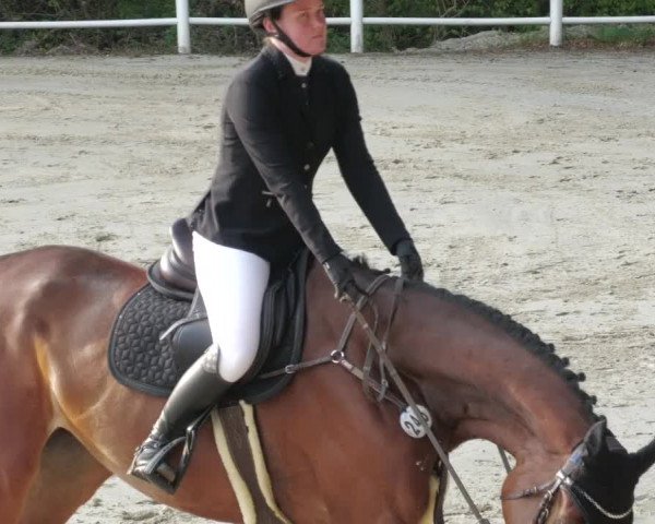 Reitturnier Losheim am See 2022
