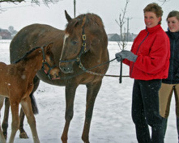 broodmare Fantastic Dream xx (Thoroughbred, 1993, from Master Speaker xx)